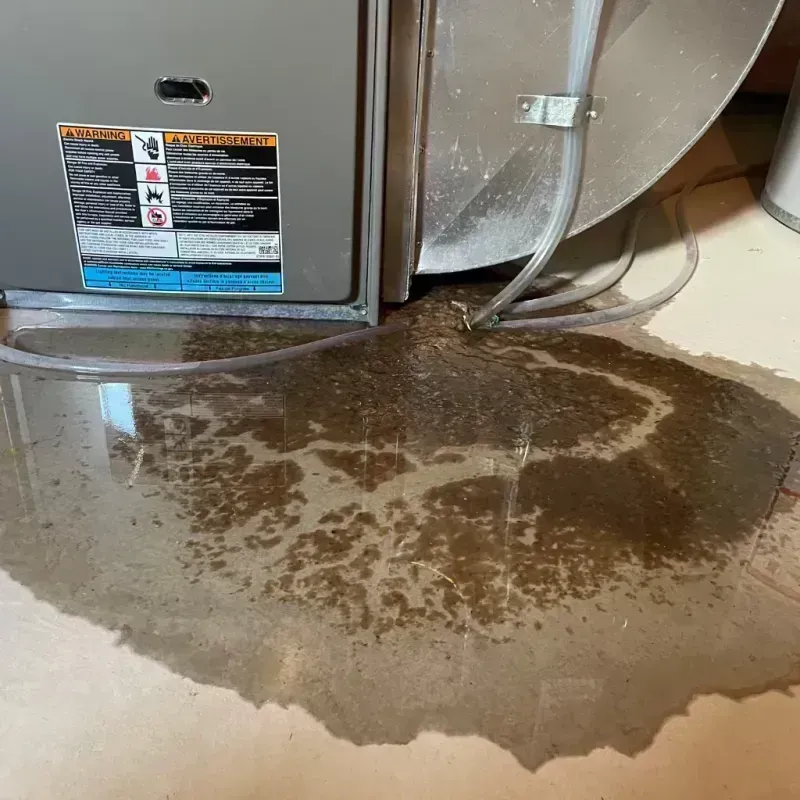 Appliance Leak Cleanup in Pike County, MO